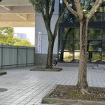 闵行专业办理刑事案件律师